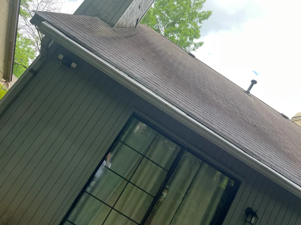 Clean gutter and roofline