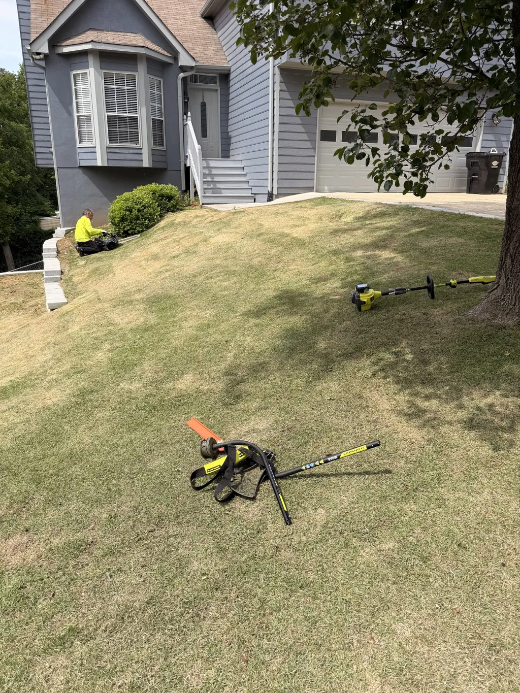 Freshly maintained front lawn of a residential home
