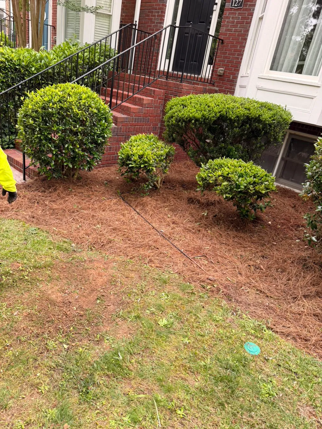 Neatly trimmed shrubs and fresh pine straw beds