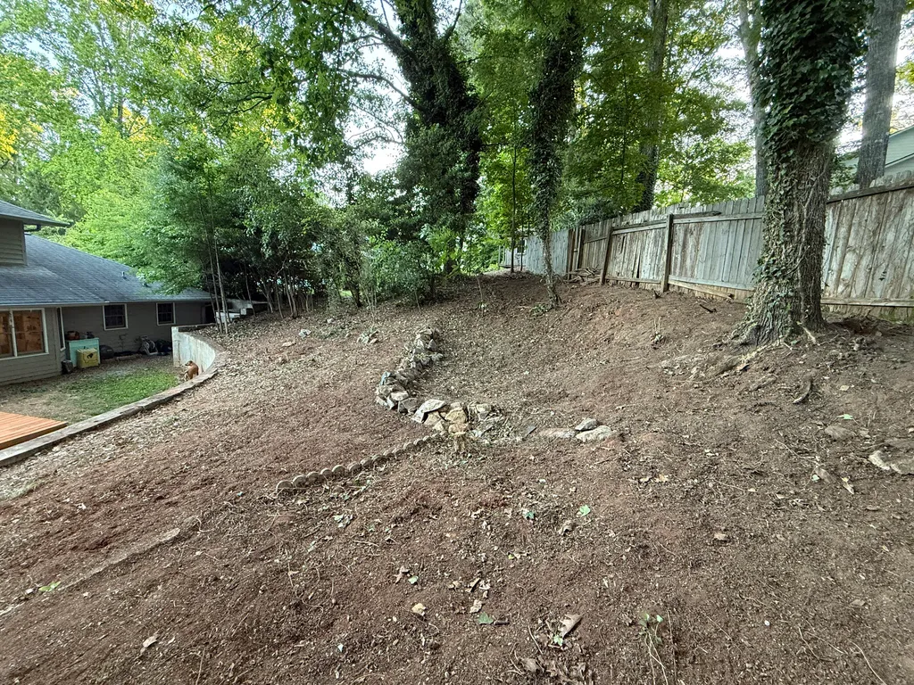 Cleared and graded backyard after our cleanup